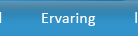 Meer informatie over de ervaring van IT-grator en Vincent Scheel.